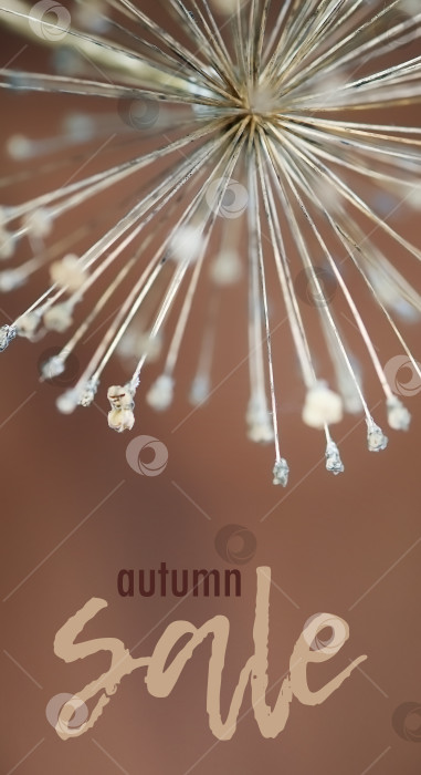 Скачать Концептуальный шаблон для торговой графики (коммерческое предложение) фотосток Ozero