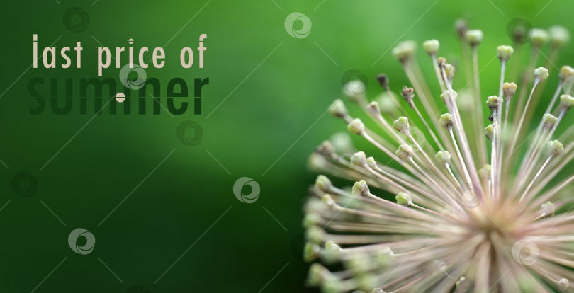 Скачать Концептуальный шаблон для торговой графики (коммерческое предложение) фотосток Ozero