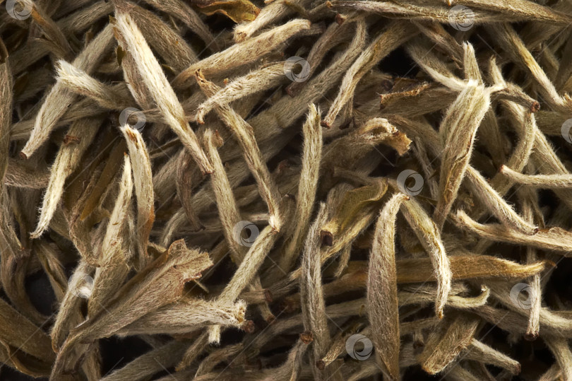 Скачать Изолированный фон поверхности китайского зеленого чая фотосток Ozero