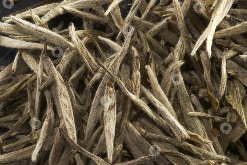 Скачать Изолированный фон поверхности китайского зеленого чая фотосток Ozero