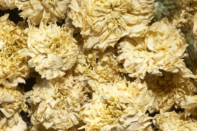 Скачать Китайский овощной цветочный чай с изолированным фоном на поверхности фотосток Ozero