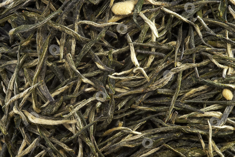 Скачать Изолированный фон поверхности китайского зеленого чая фотосток Ozero