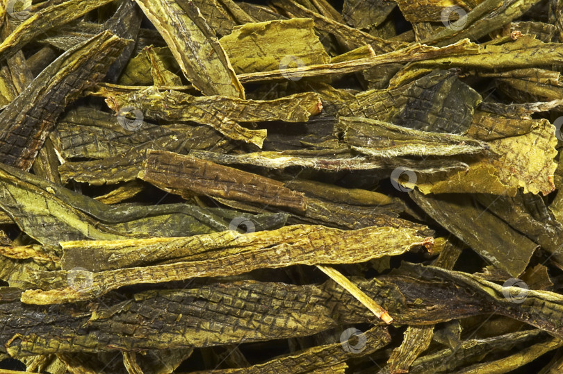 Скачать Изолированный фон поверхности китайского зеленого чая фотосток Ozero