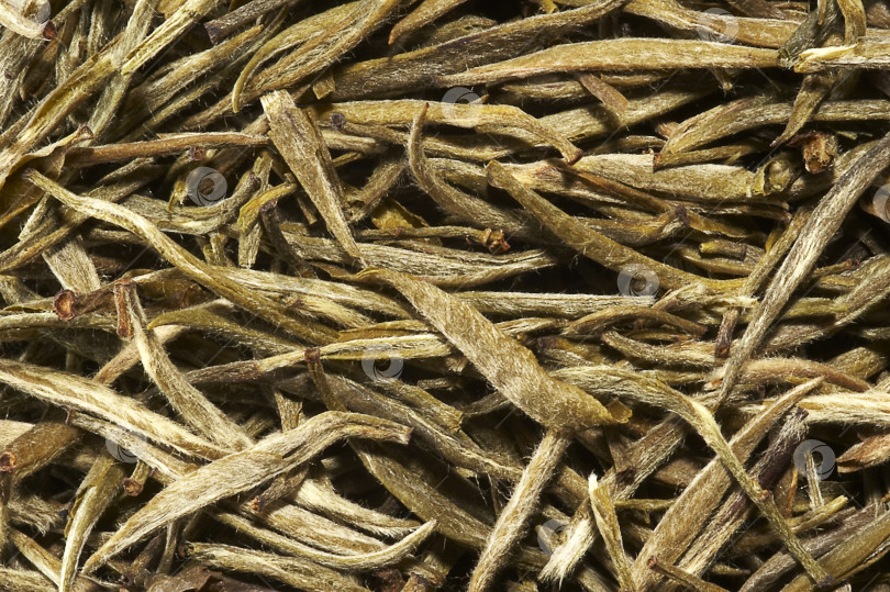 Скачать Изолированный фон поверхности китайского зеленого чая фотосток Ozero