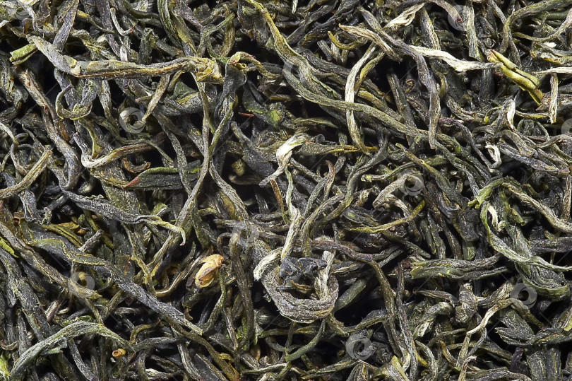 Скачать Изолированный фон поверхности китайского зеленого чая фотосток Ozero