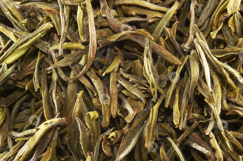 Скачать Изолированный фон поверхности китайского зеленого чая фотосток Ozero