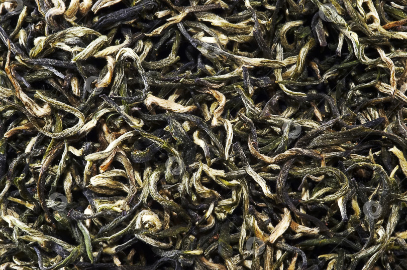 Скачать Изолированный фон поверхности китайского зеленого чая фотосток Ozero