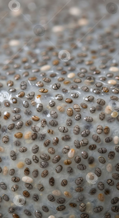 Скачать Макросъемка полезной текстуры пудинга из семян чиа. Абстрактный фон из размоченных семян чиа для современной концепции питания. фотосток Ozero