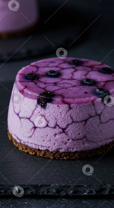 Скачать Круглый фиолетовый торт с муссом из черники на темном фоне. Сладкий десерт-чизкейк с ягодно-желейной начинкой. Домашняя выпечка для оформления меню. фотосток Ozero