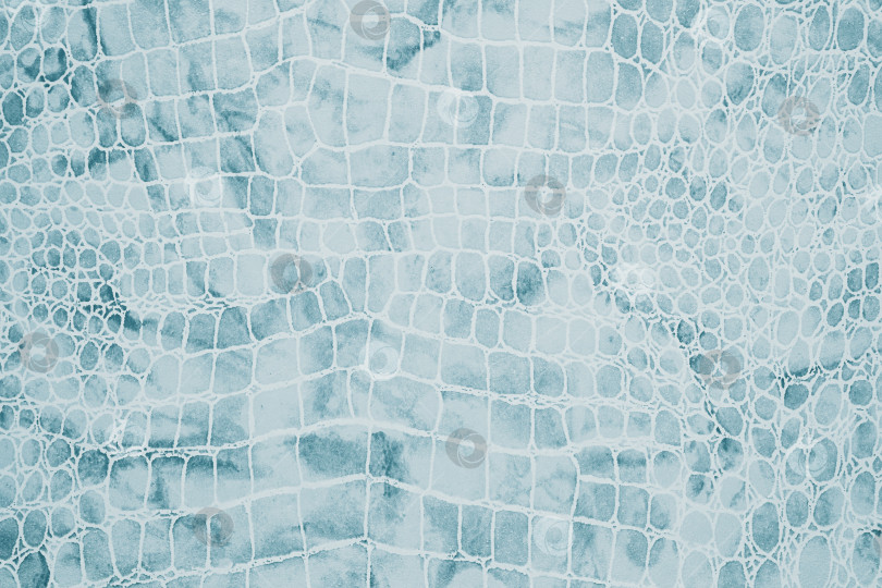 Скачать Натуральная крокодиловая кожа, крупный план, изолированный фон для дизайна фотосток Ozero