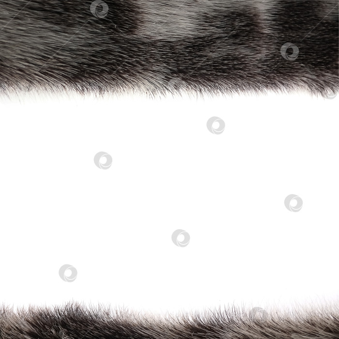 Скачать Красивый фон из пятнистого натурального меха (тюленя) фотосток Ozero