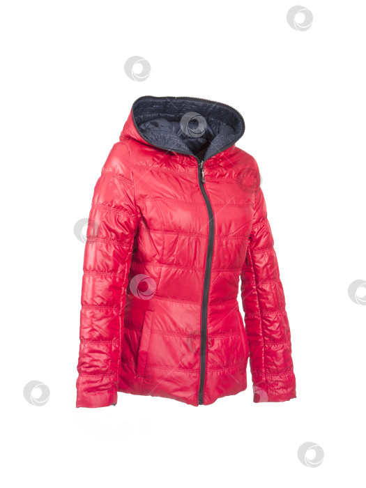 Скачать Красный пуховик для спорта и отдыха, выделяющийся на белом фоне фотосток Ozero