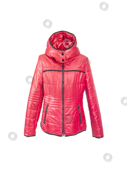 Скачать Красный пуховик для спорта и отдыха, выделяющийся на белом фоне фотосток Ozero