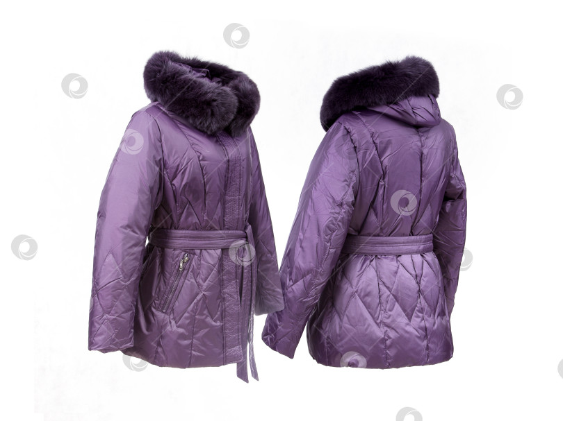 Скачать Фиолетовый пуховик пуховик для спорта и отдыха, выделяющийся на белом фоне фотосток Ozero