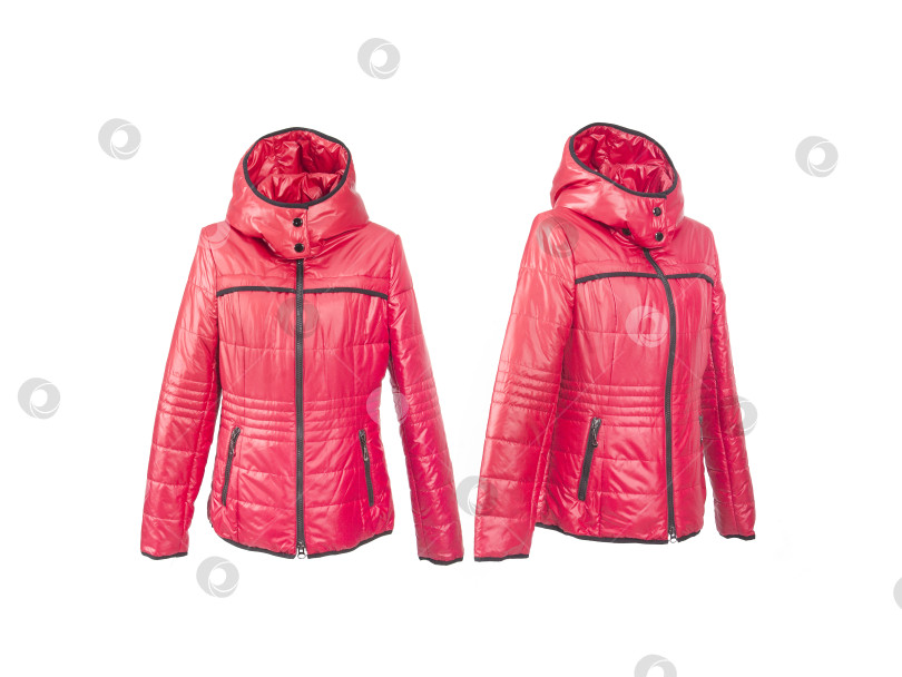 Скачать Красный пуховик для спорта и отдыха, выделяющийся на белом фоне фотосток Ozero