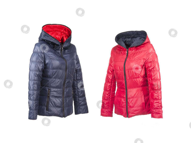 Скачать Красный и темно-синий пуховики для спорта и отдыха на белом фоне фотосток Ozero