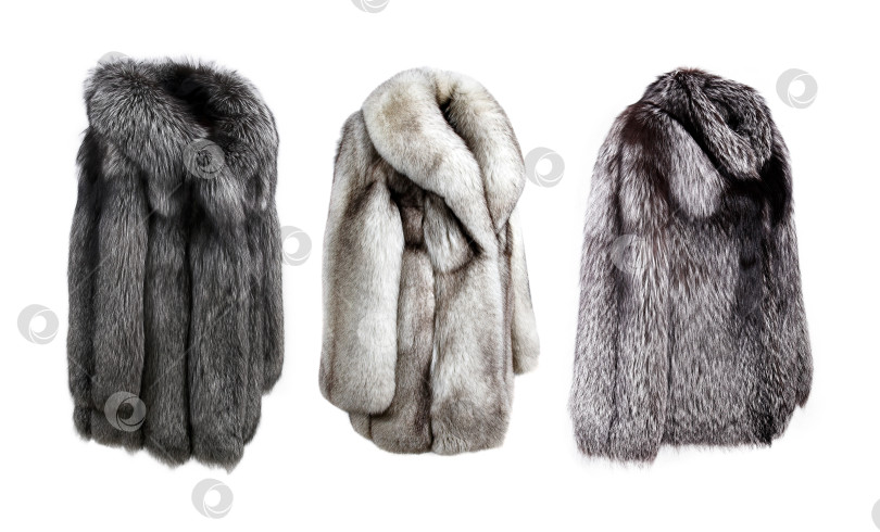 Скачать Богато украшенная женская шуба из меха белой лисы, выделяющаяся на белом фоне фотосток Ozero