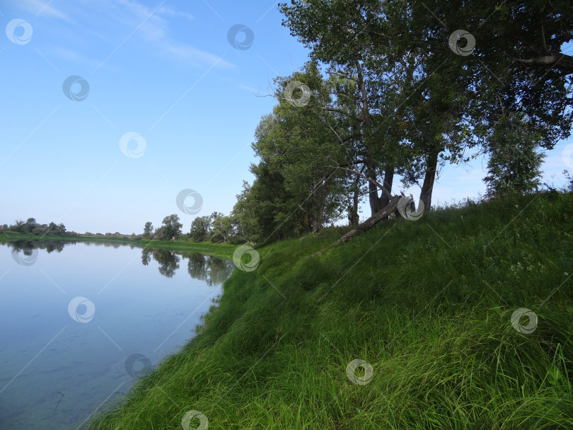Скачать Тихая гладь реки под лазурным небом: природа в полной гармонии фотосток Ozero