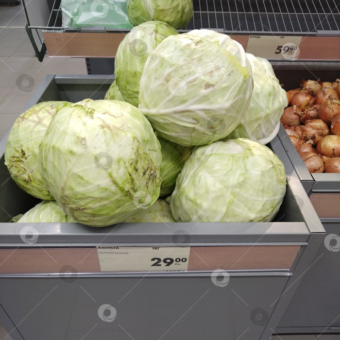 Скачать Отдел капусты в магазине "Чижик". фотосток Ozero