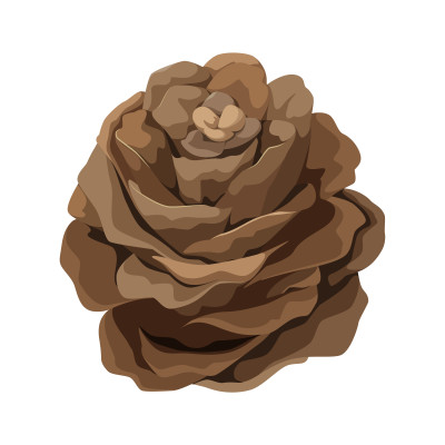 [object Object] undefined