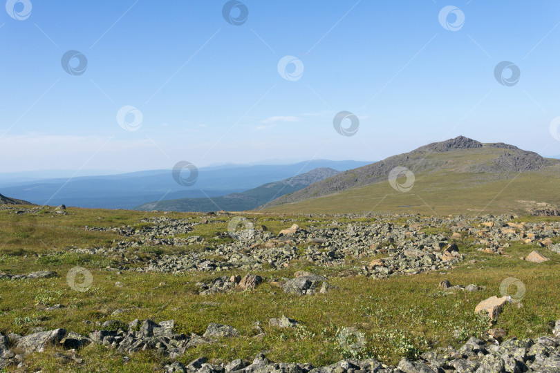 Скачать пейзаж Северного Урала со скалистой горной тундрой фотосток Ozero
