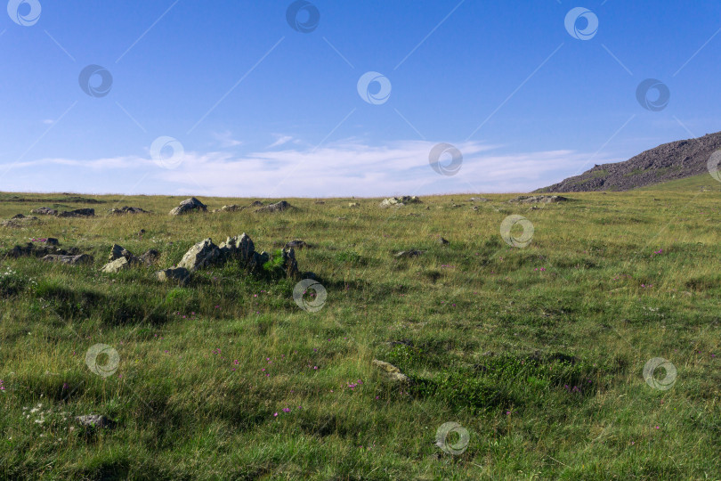 Скачать высокогорная тундра на плато со скалами среди травы фотосток Ozero