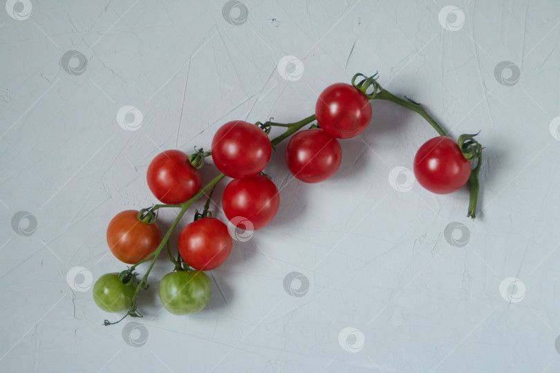 Скачать органические помидоры черри, выращенные в саду фотосток Ozero