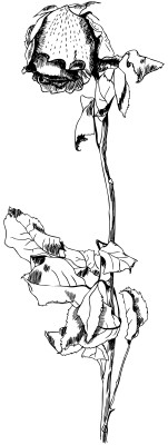 [object Object] undefined