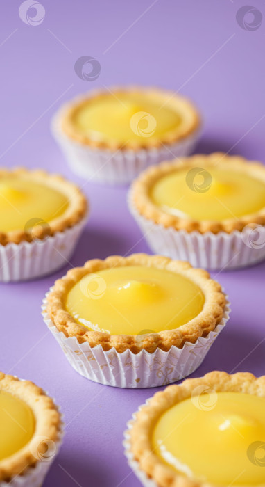 Скачать Множество домашних лимонных тарталеток с начинкой из желтого заварного крема. Сладкое десертное печенье для выпечки, кейтеринга или вечеринки. фотосток Ozero