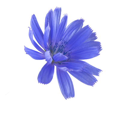 [object Object] undefined