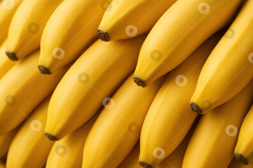 Скачать Яркая экспозиция Свежесобранных бананов крупным планом демонстрирует их ярко-желтый цвет и гладкую текстуру фотосток Ozero