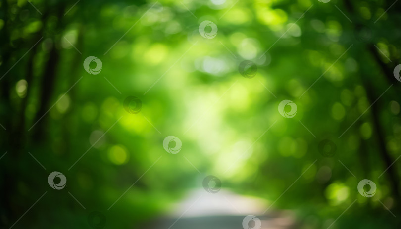 Скачать Размытый естественный зеленый фон - блики боке. фотосток Ozero