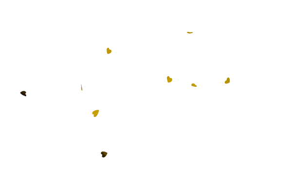 [object Object] undefined