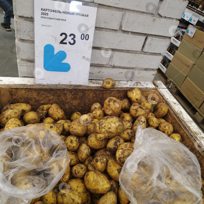 Скачать Отдел картофеля в магазине "Smart". фотосток Ozero