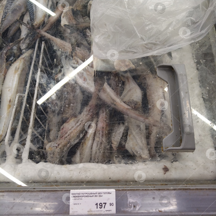 Скачать Отдел минтая в магазине "Smart". фотосток Ozero