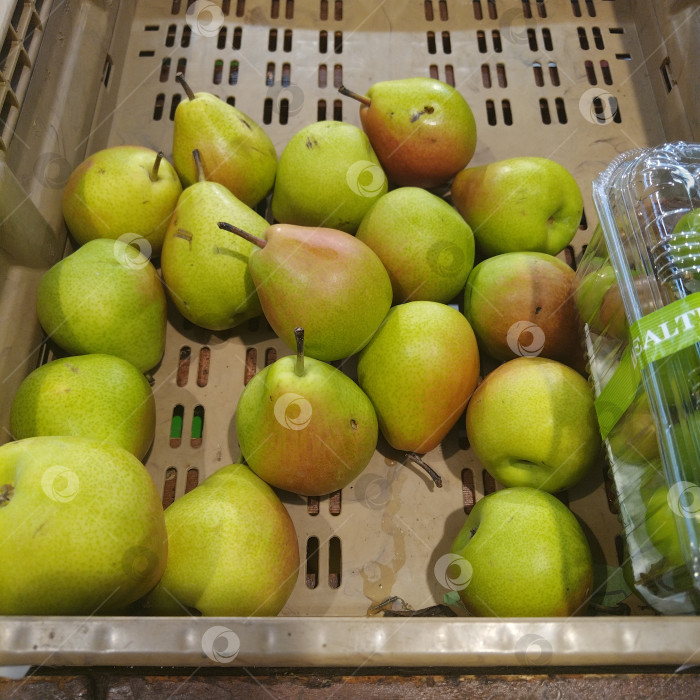 Скачать Отдел груш в магазине "Магнит". фотосток Ozero