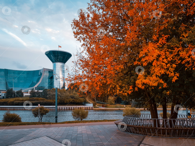 Скачать Золотая осень. фотосток Ozero