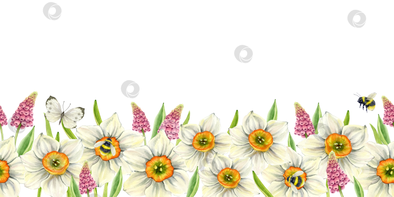 Скачать бордюр из весенних цветов фотосток Ozero