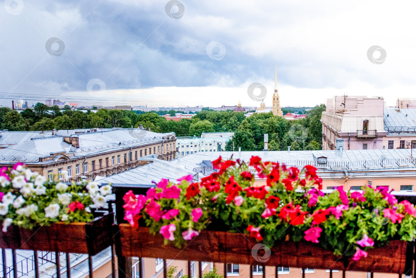 Скачать Санкт-Петербург, Россия, 6 августа 2017 года, Панорама старой части города летним днем фотосток Ozero