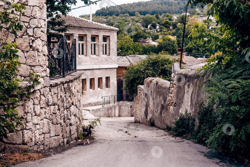 Скачать Улица с небольшим домом и коттеджем в пригороде Бахчисарая, Крым. фотосток Ozero