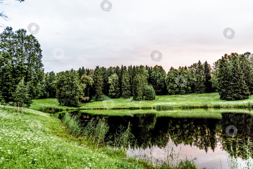 Скачать Панорамный пейзаж Павловского парка с осенними деревьями, травой, газоном и тропинками фотосток Ozero