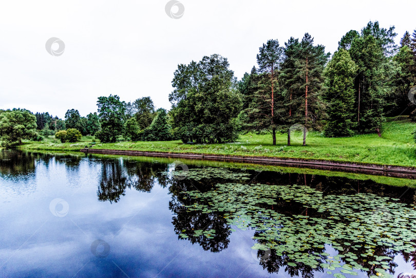 Скачать Панорамный пейзаж Павловского парка с осенними деревьями, травой, газоном и тропинками фотосток Ozero