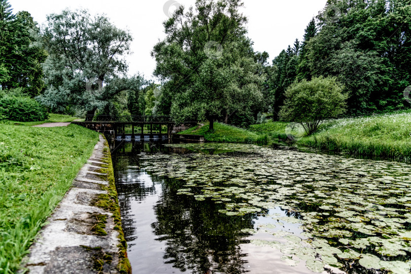 Скачать Панорамный пейзаж Павловского парка с осенними деревьями, травой, газоном и тропинками фотосток Ozero