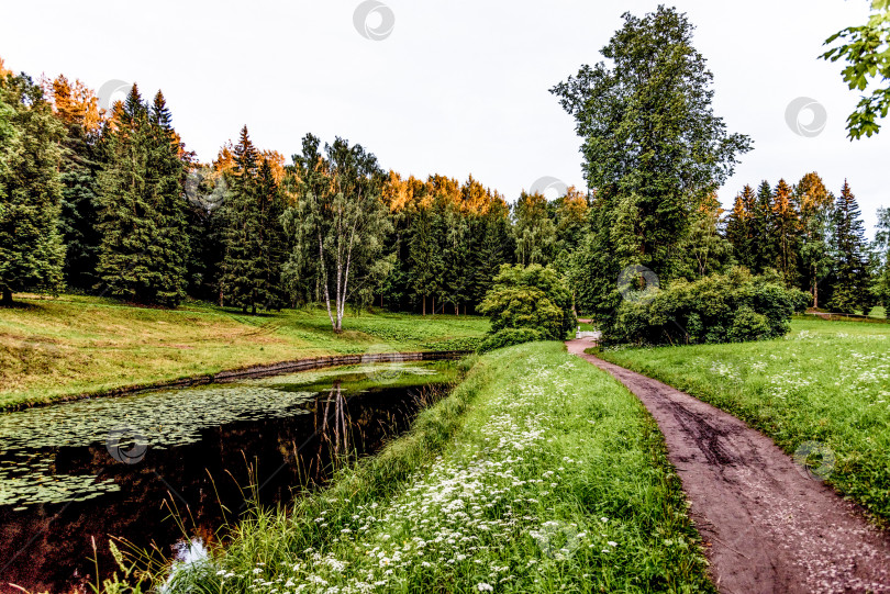 Скачать Панорамный пейзаж Павловского парка с осенними деревьями, травой, газоном и тропинками фотосток Ozero