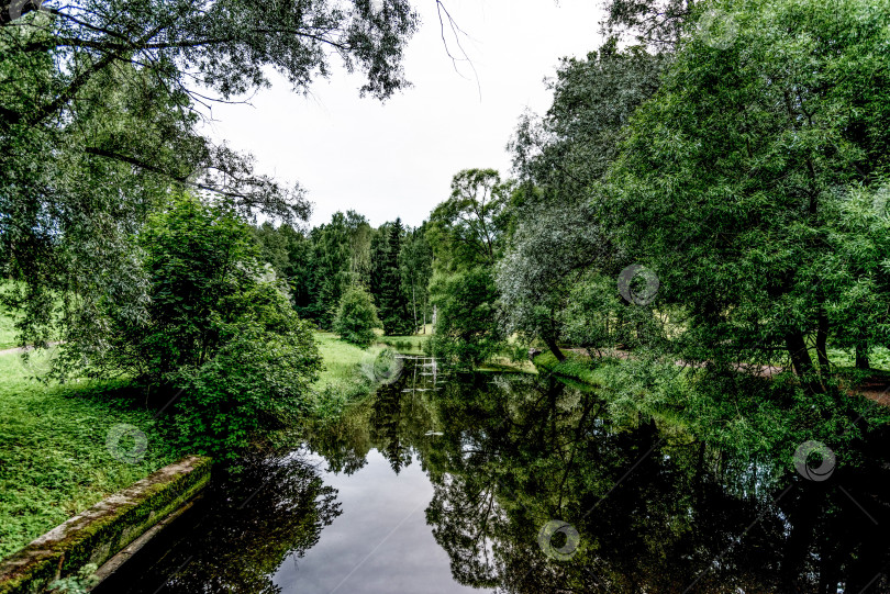 Скачать Панорамный пейзаж Павловского парка с осенними деревьями, травой, газоном и тропинками фотосток Ozero