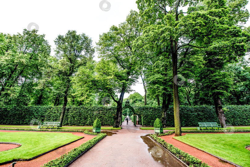 Скачать Санкт-Петербург, Россия, 25 июля 2017 года, панорамный пейзаж парка "Летний сад" фотосток Ozero