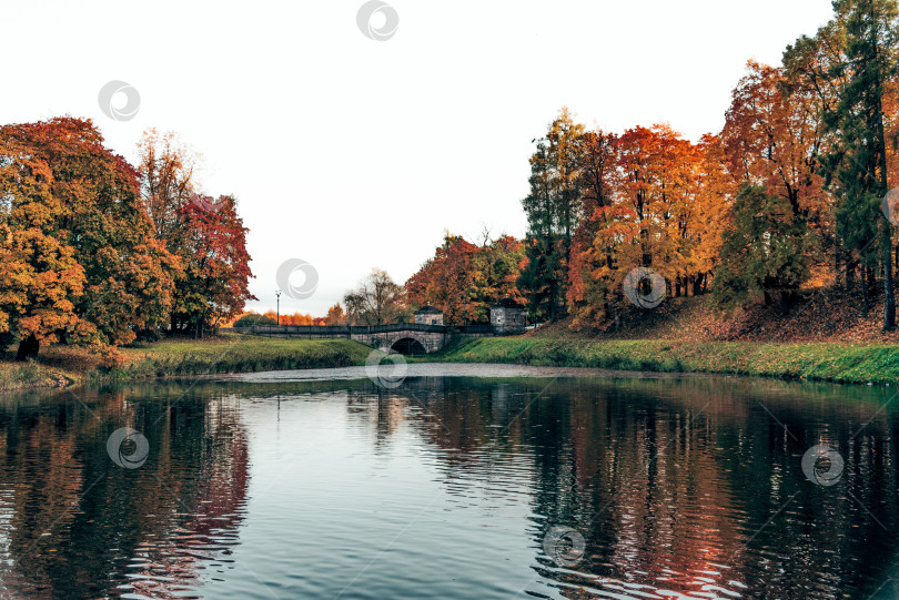 Скачать Панорамный пейзаж Гатчинского дворцового парка с деревьями, травой, газоном и дорожками фотосток Ozero