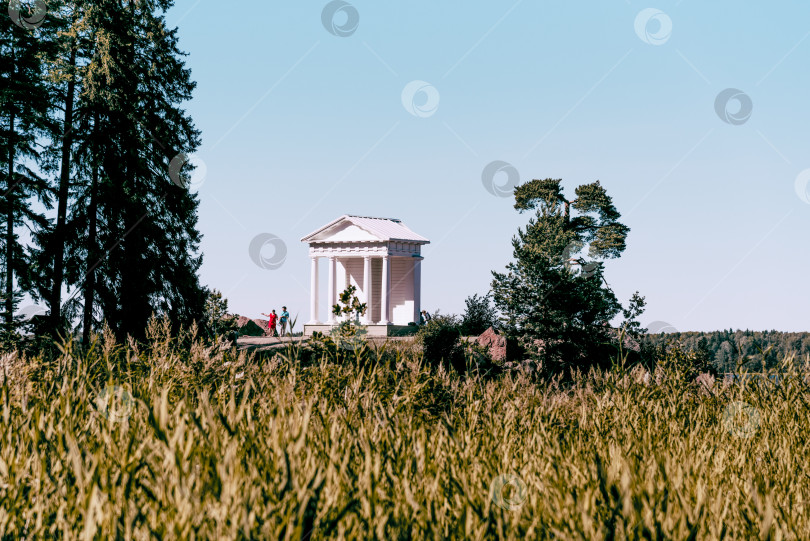 Скачать Выборг, Россия, 30 июня 2019 года, Ландшафтный парк Монрепо с деревьями, травой и тропинками фотосток Ozero