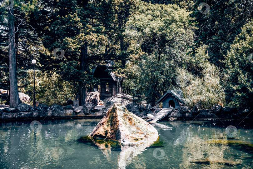 Скачать Пейзаж Воронцовского парка с деревьями, травой, газоном и дорожками, Алупка, Крым фотосток Ozero