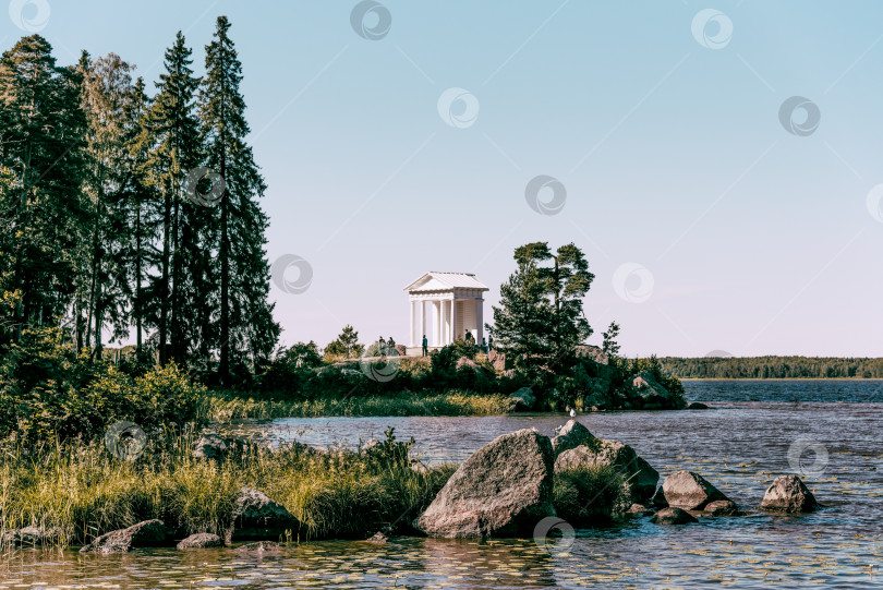 Скачать Выборг, Россия, 30 июня 2019 года, Ландшафтный парк Монрепо с деревьями, травой и тропинками фотосток Ozero